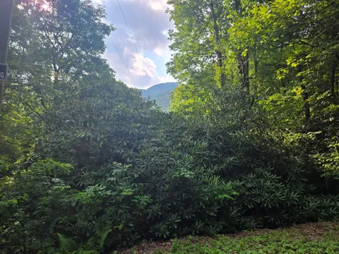 Greenspire Road