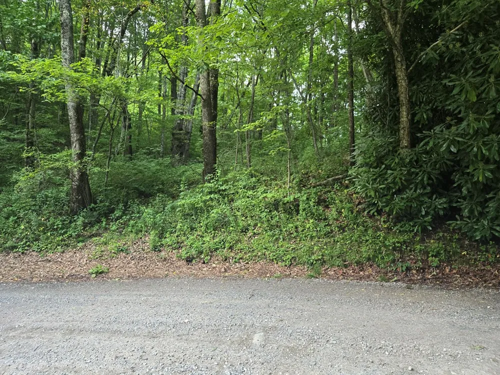 Greenspire Road Sylva, NC 28779