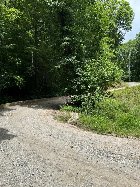 Tract 4A Coman Rd