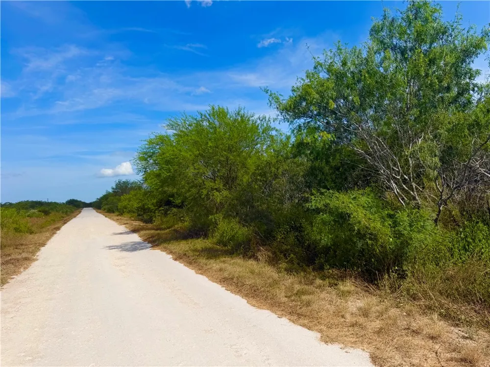 Tract 16- San Diego Creek Ranch San Diego, TX 78384