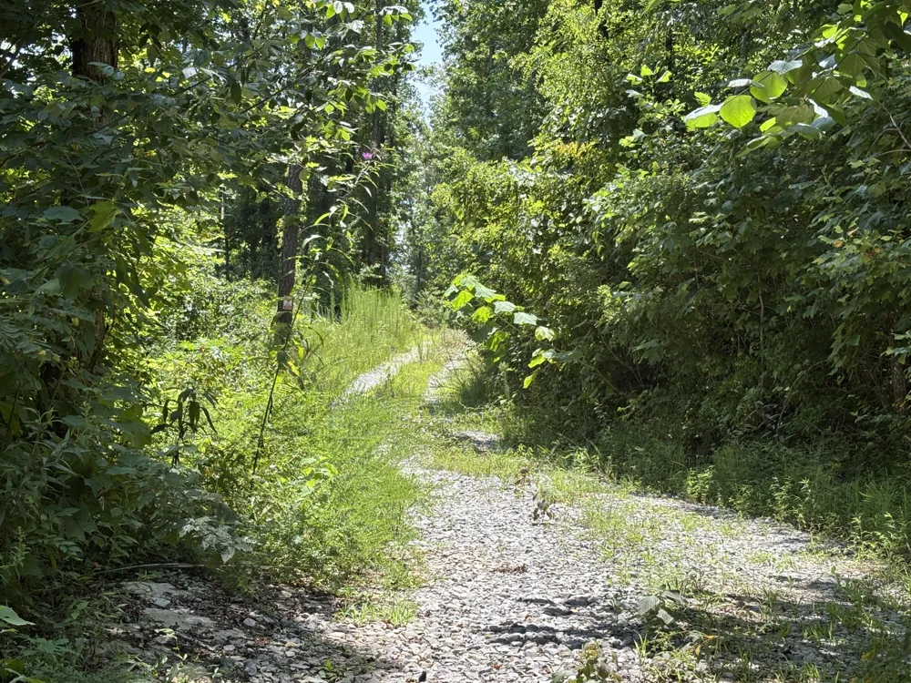 Lee Station Mountain Road Road Pikeville, TN 37367