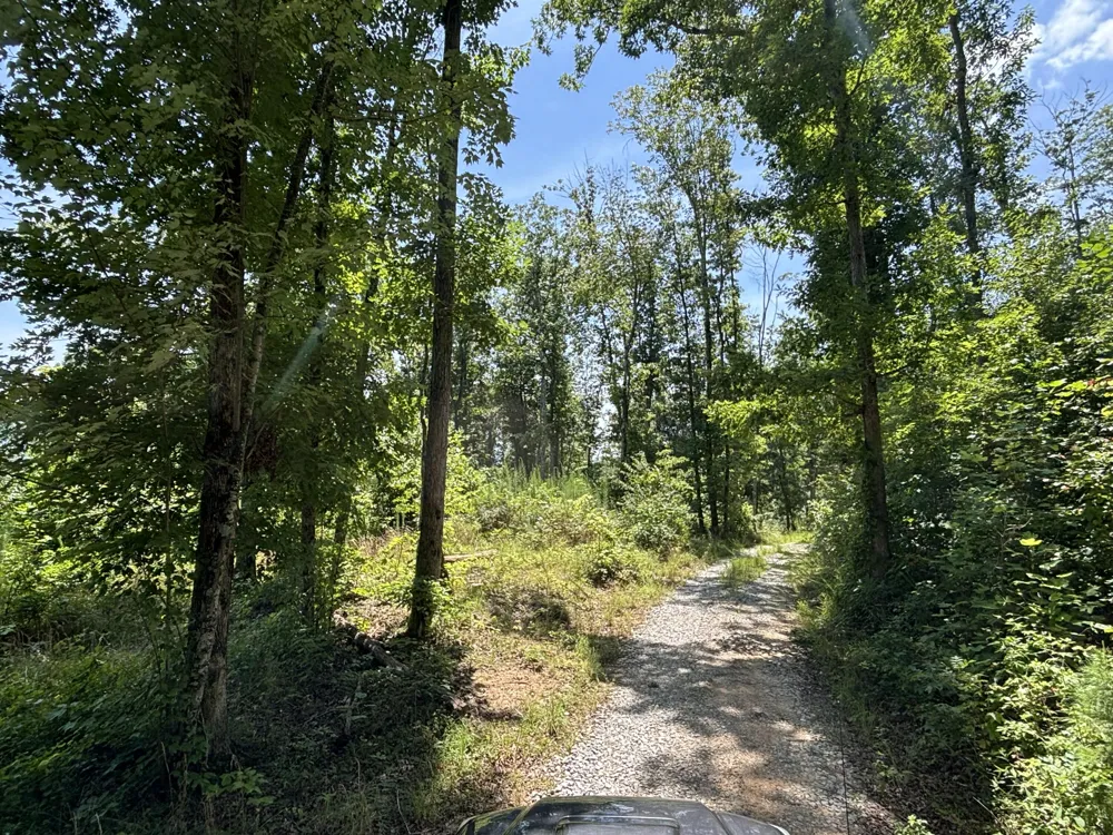 Lee Station Mountain Road Road Pikeville, TN 37367