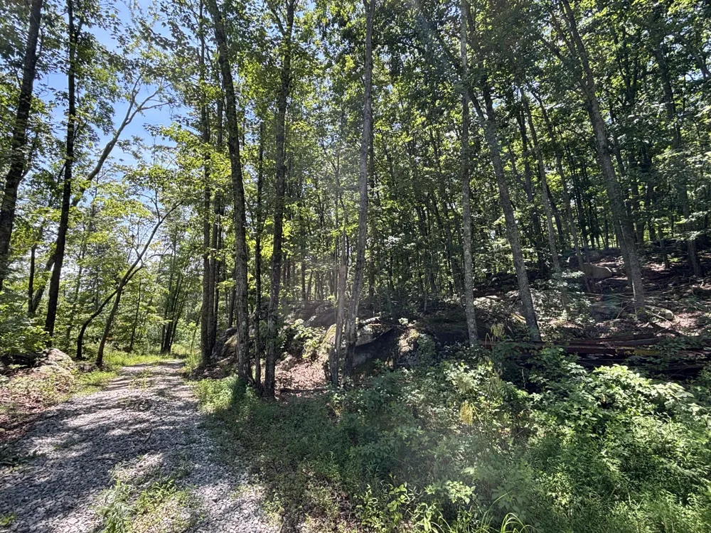 Lee Station Mountain Road Road Pikeville, TN 37367
