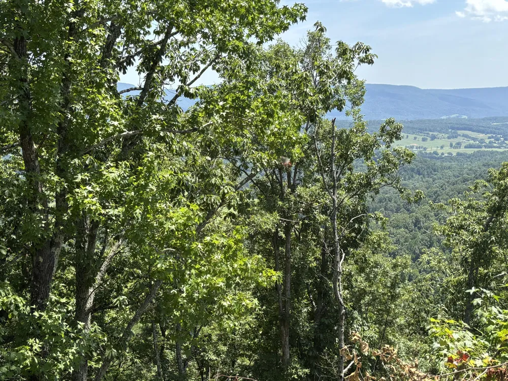 Lee Station Mountain Road Road Pikeville, TN 37367
