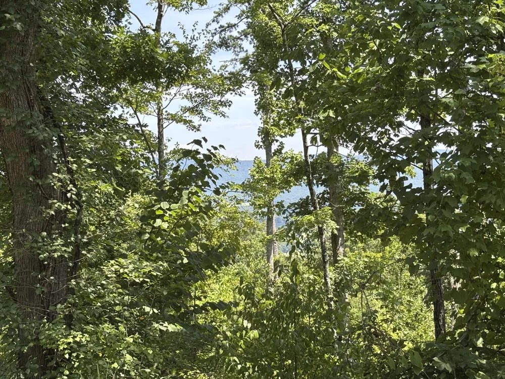 Lee Station Mountain Road Road Pikeville, TN 37367