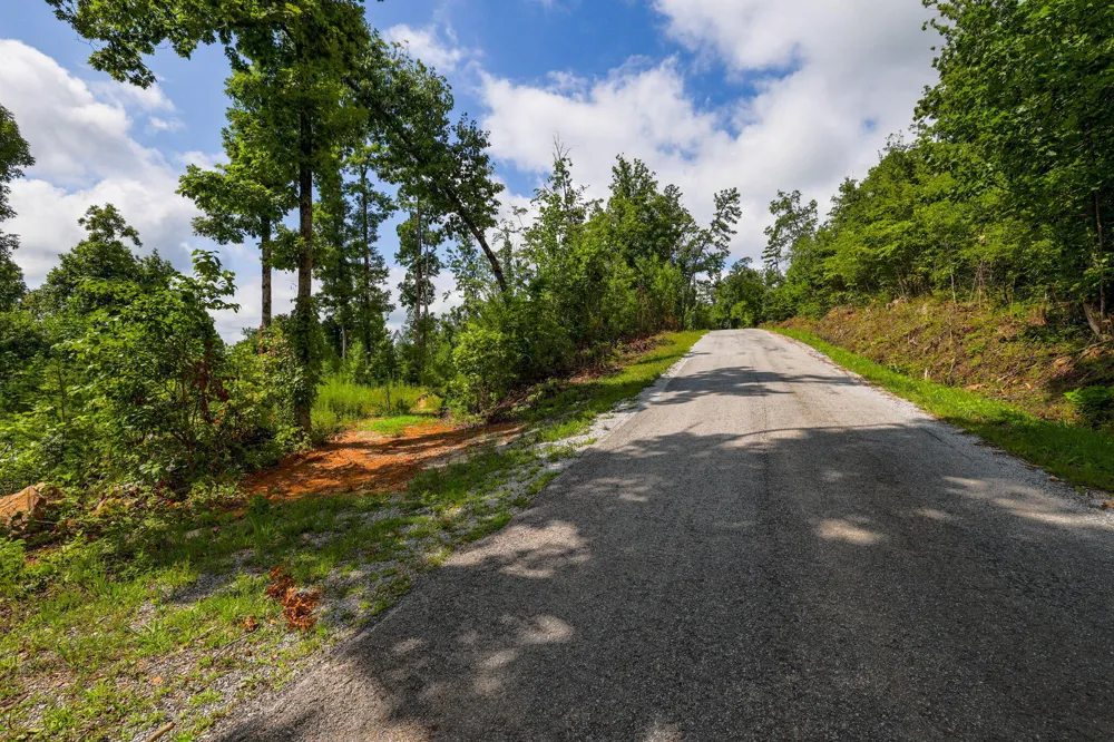 Lee Station Mountain Road Road Pikeville, TN 37367