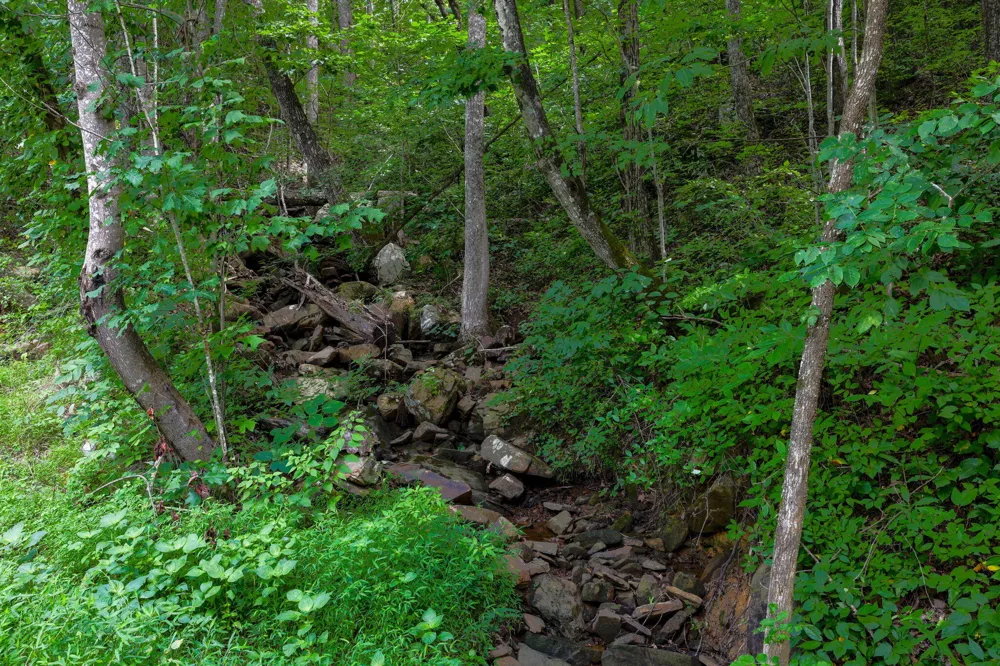Lee Station Mountain Road Road Pikeville, TN 37367