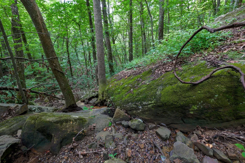 Lee Station Mountain Road Road Pikeville, TN 37367