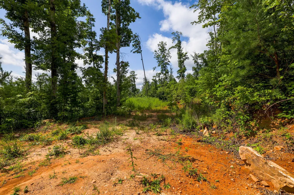 Lee Station Mountain Road Road Pikeville, TN 37367
