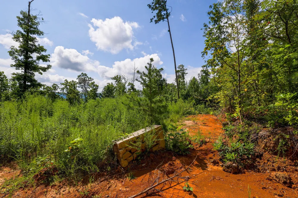 Lee Station Mountain Road Road Pikeville, TN 37367
