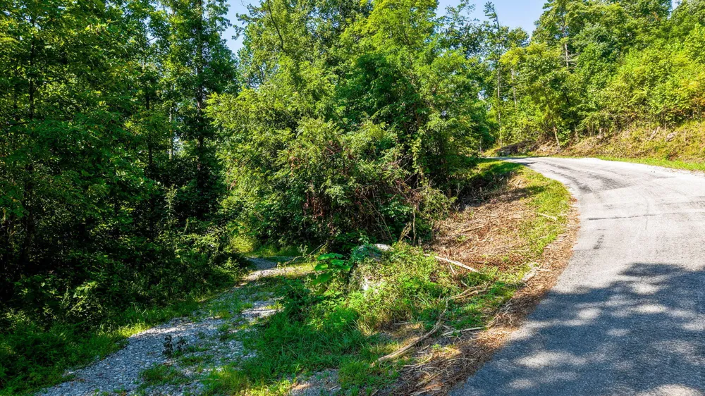 Lee Station Mountain Road Road Pikeville, TN 37367