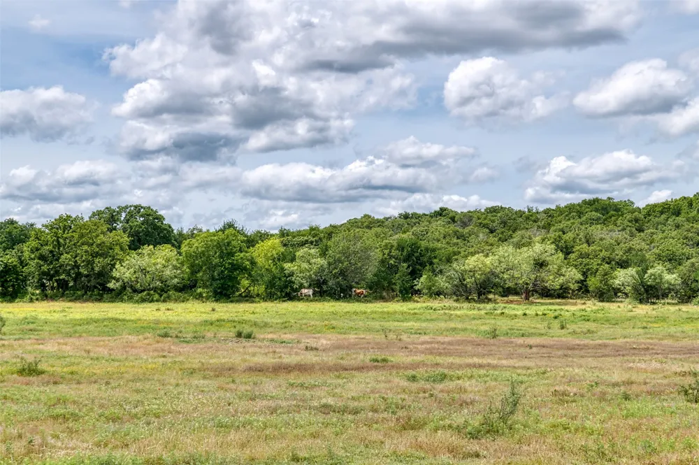 1000 Cool Ranch Lane Millsap, TX 76066