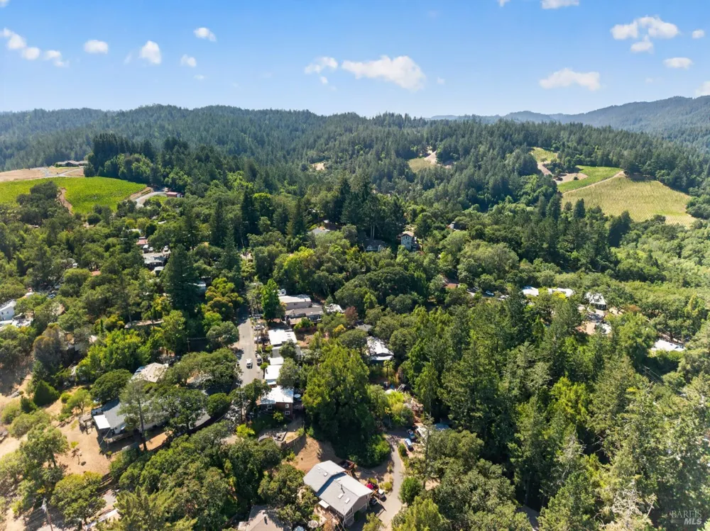 9312 Champs De Elysees Forestville, CA 95436