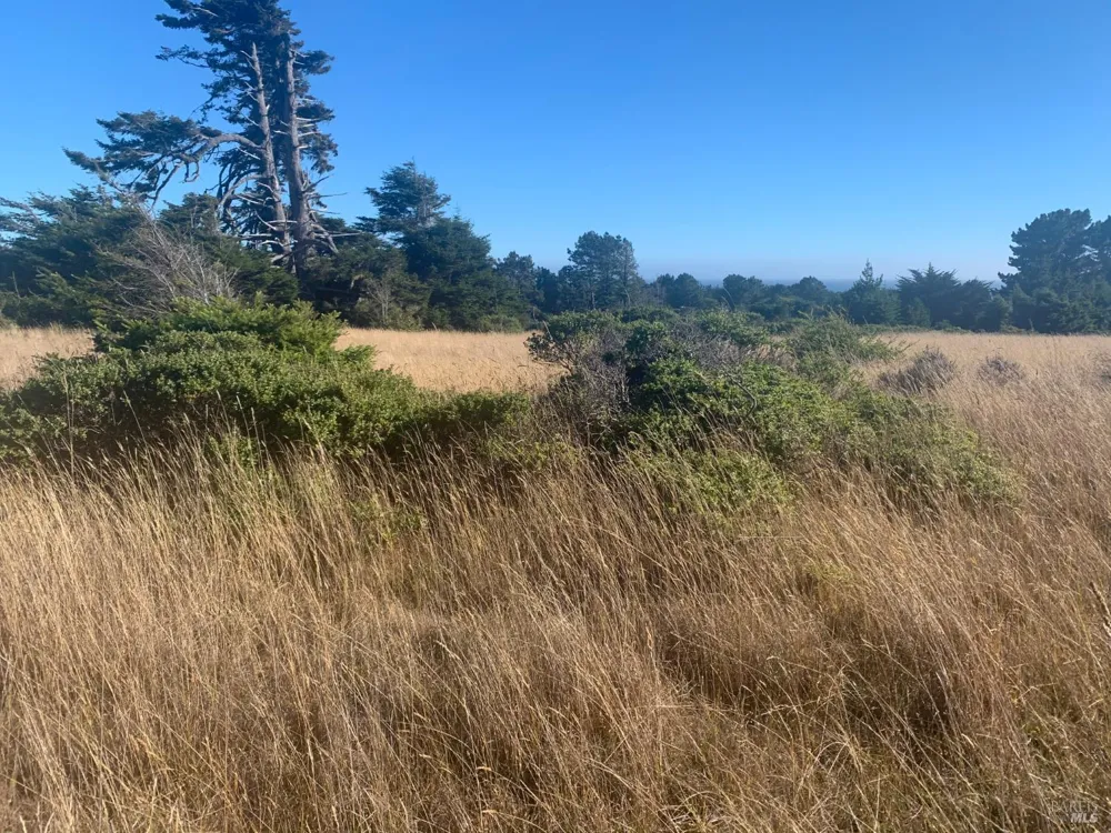 200 Haversack Road The Sea Ranch, CA 95497