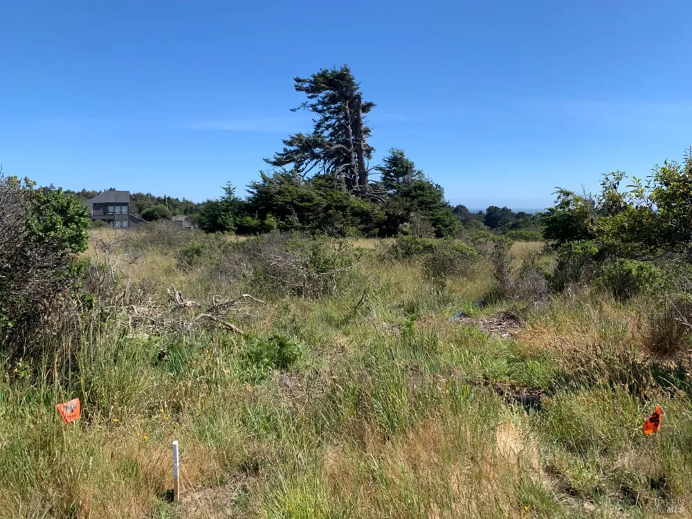 200 Haversack Road The Sea Ranch, CA 95497
