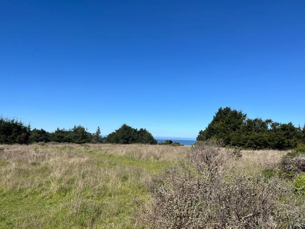 200 Haversack Road The Sea Ranch, CA 95497