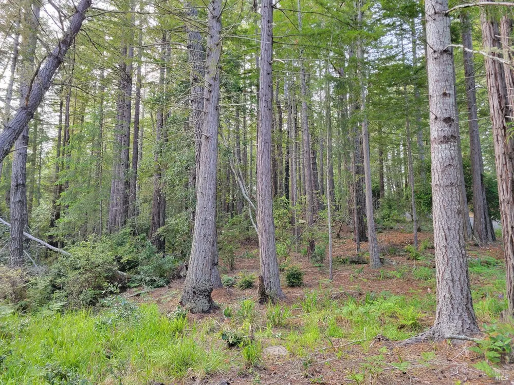 35136 Timber Ridge Road The Sea Ranch, CA 95497