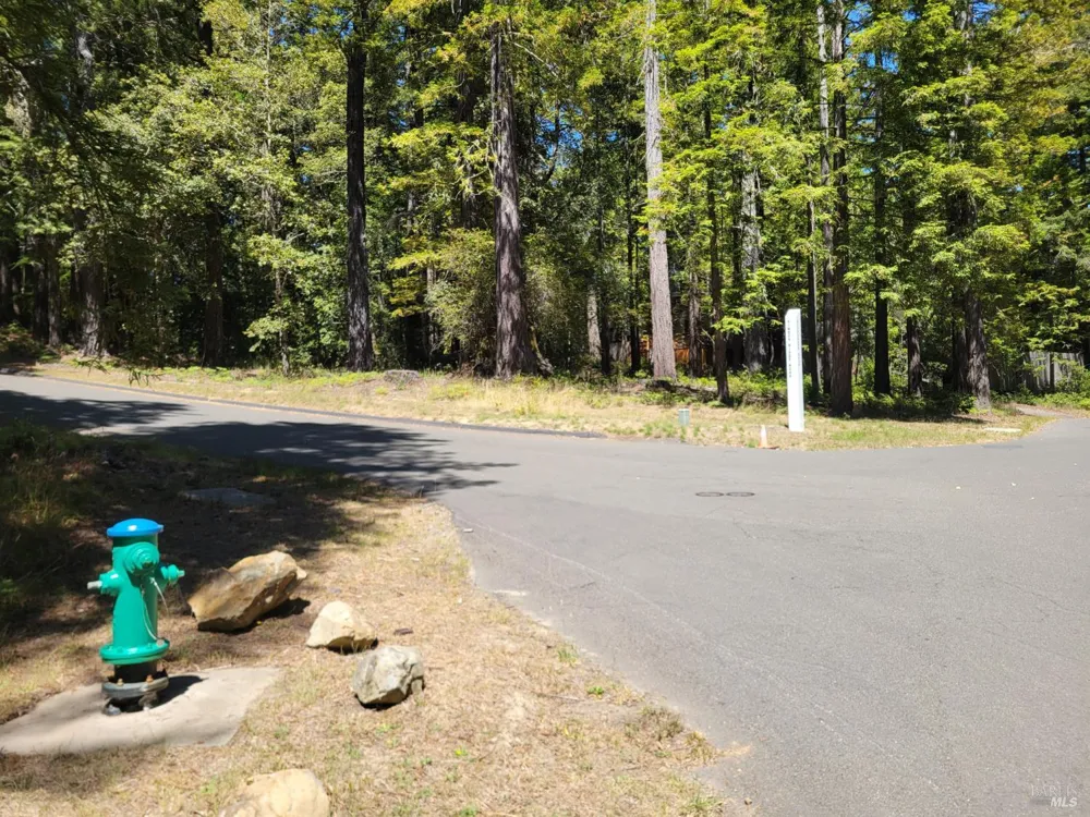 35136 Timber Ridge Road The Sea Ranch, CA 95497