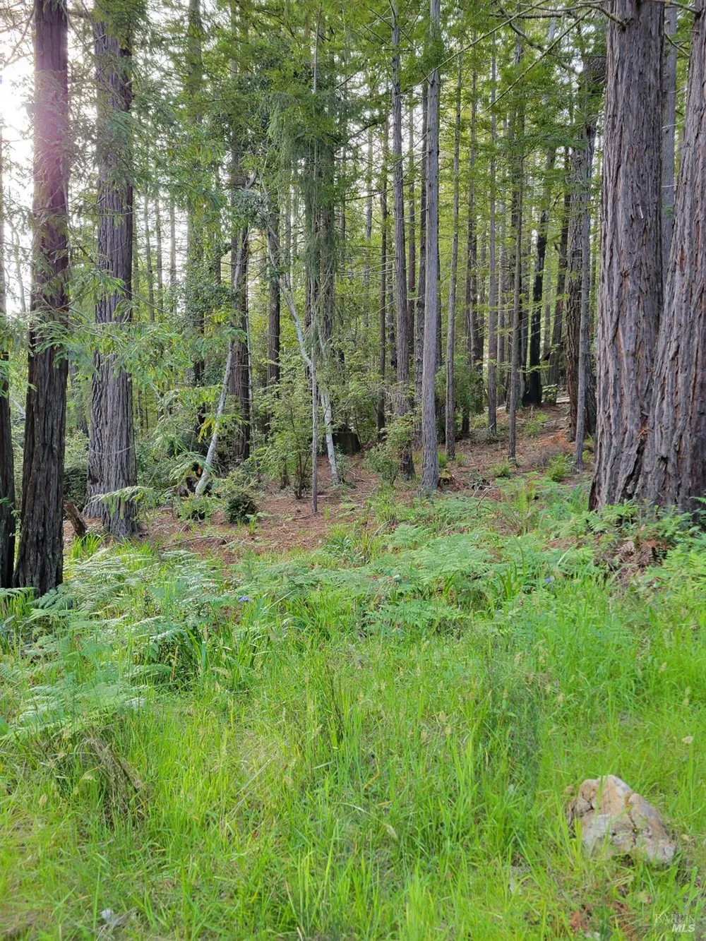 35136 Timber Ridge Road The Sea Ranch, CA 95497