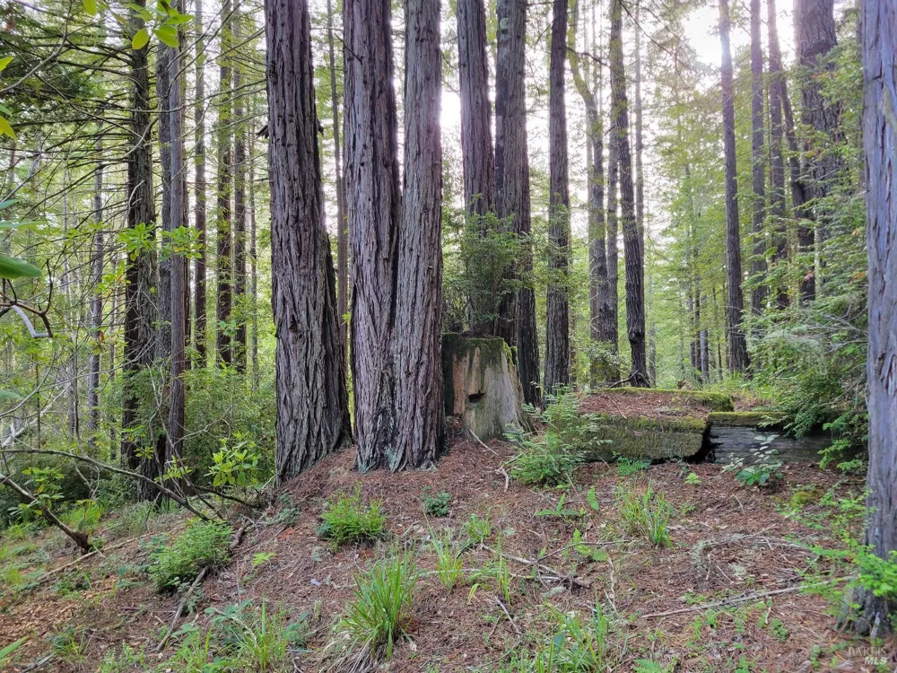 35136 Timber Ridge Road The Sea Ranch, CA 95497