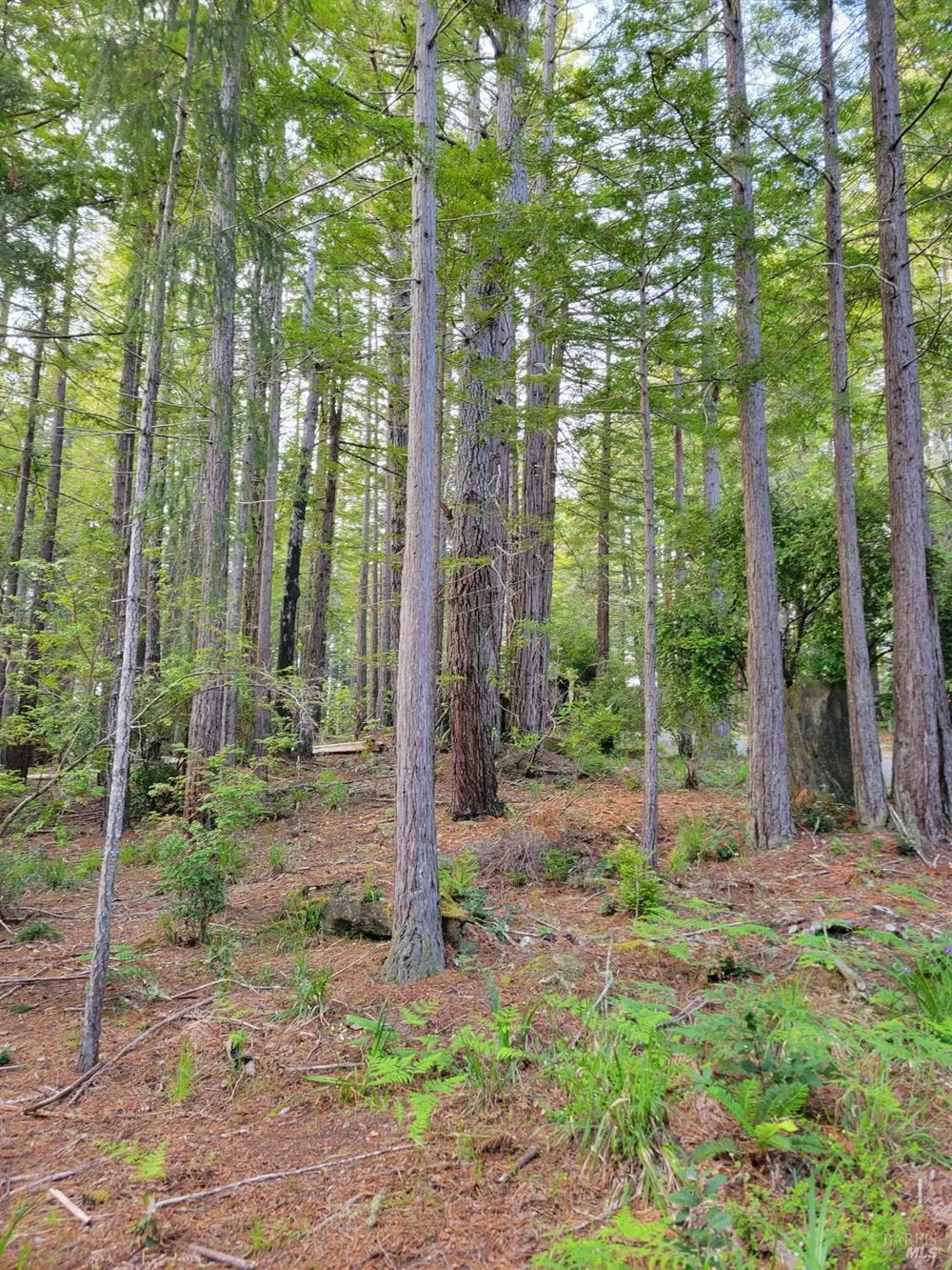 35136 Timber Ridge Road The Sea Ranch, CA 95497