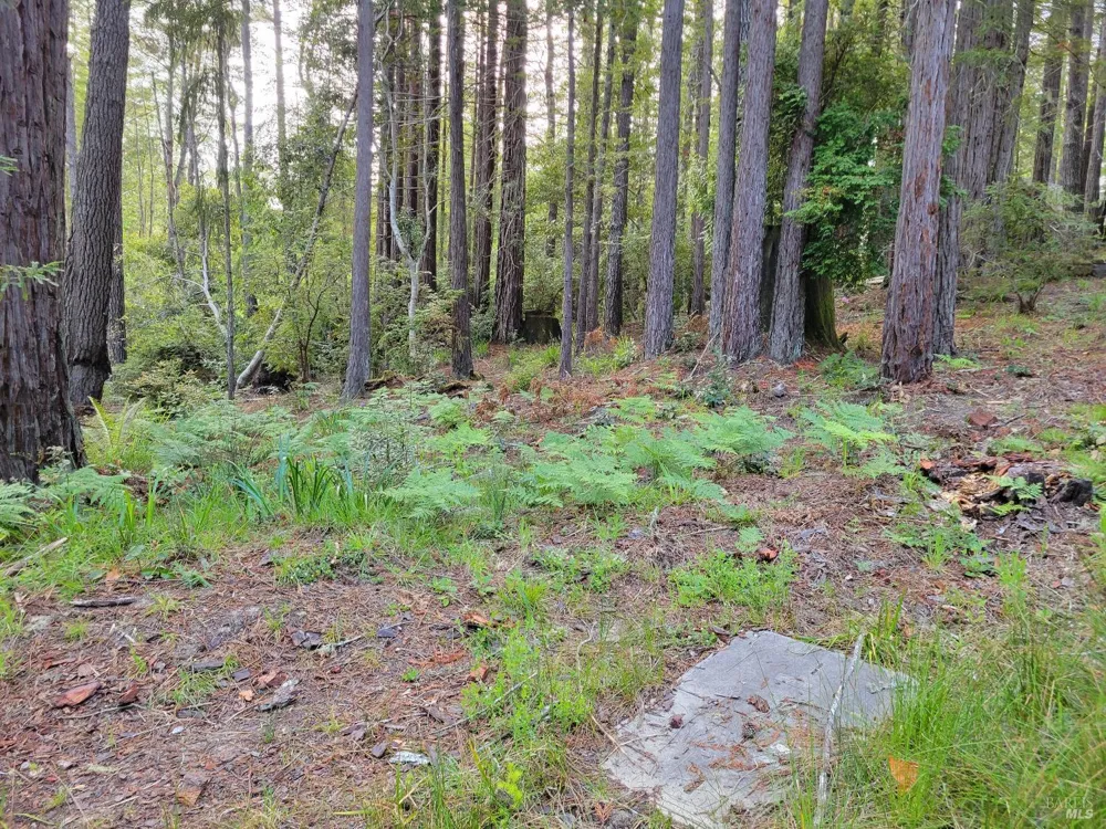 35136 Timber Ridge Road The Sea Ranch, CA 95497