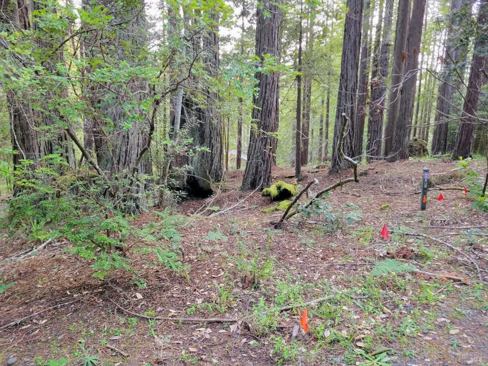 35136 Timber Ridge Road The Sea Ranch, CA 95497