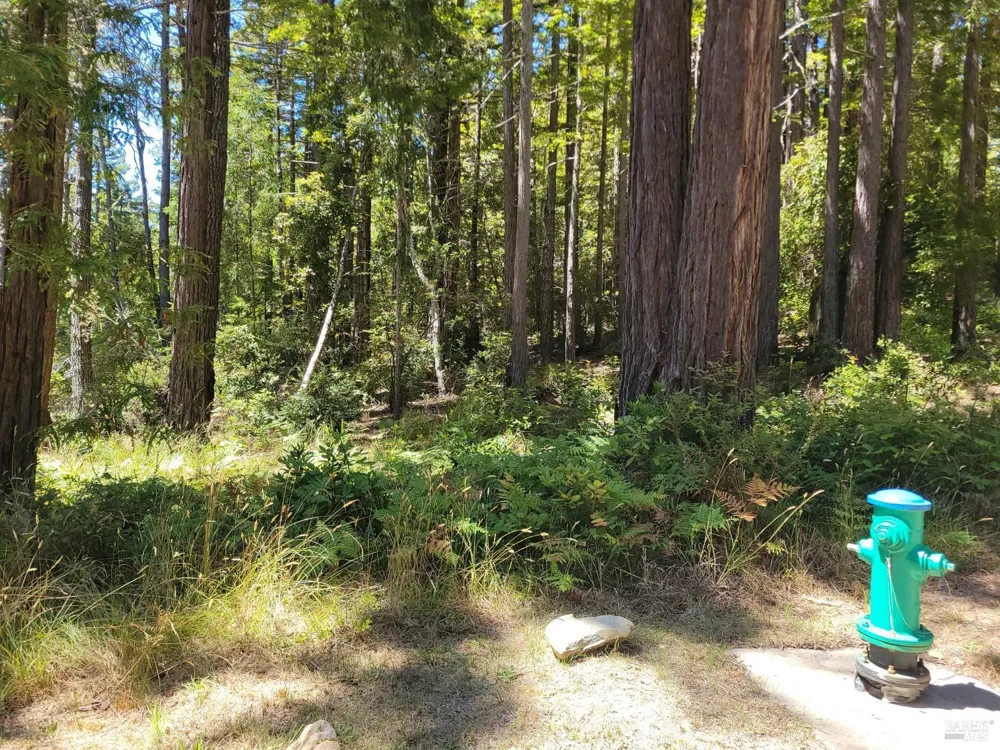 35136 Timber Ridge Road The Sea Ranch, CA 95497