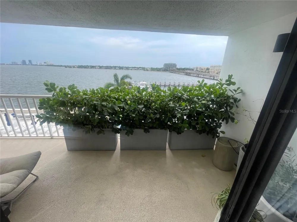 2 ADALIA AVENUE #302 Tampa, FL 33606