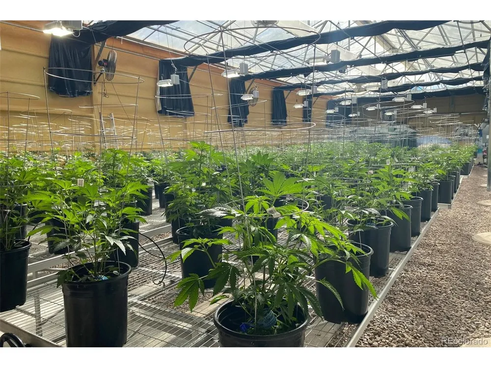 20520 CR 59 Moffat, CO 81143