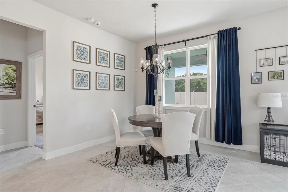 4678 DOVER BLUFF COURT Valrico, FL 33594