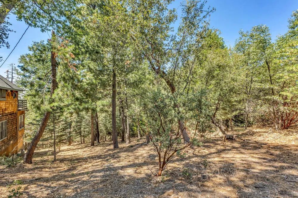 24701 Schaffer Drive Idyllwild, CA 92549