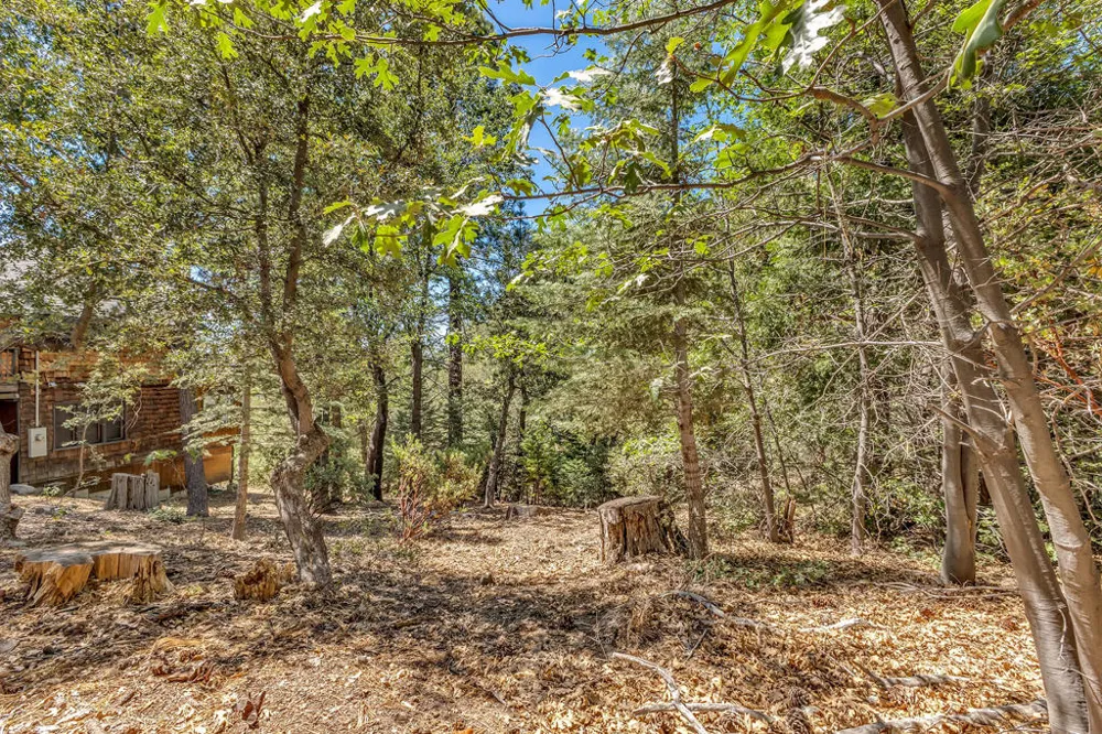 24701 Schaffer Drive Idyllwild, CA 92549