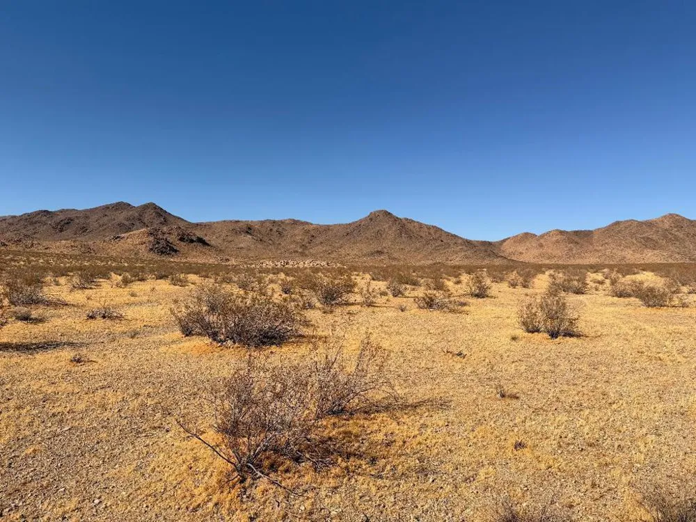 31 Brucite Street Lucerne Valley, CA 92356