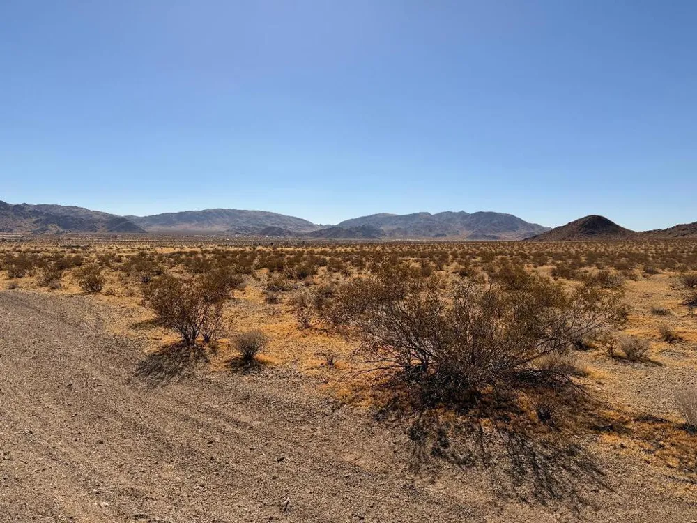 31 Brucite Street Lucerne Valley, CA 92356