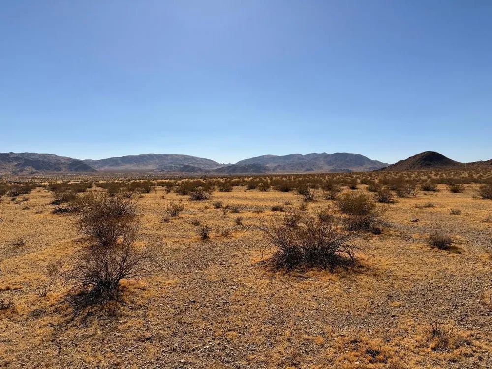 31 Brucite Street Lucerne Valley, CA 92356