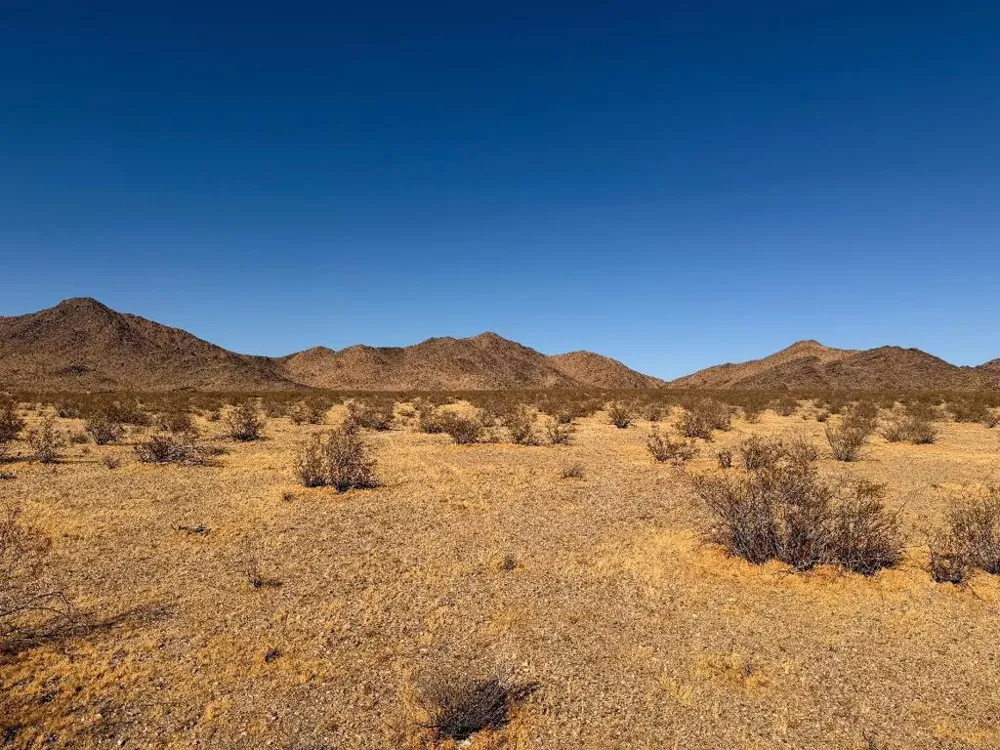 31 Brucite Street Lucerne Valley, CA 92356