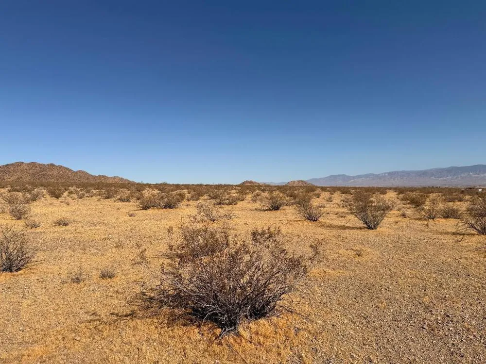 31 Brucite Street Lucerne Valley, CA 92356