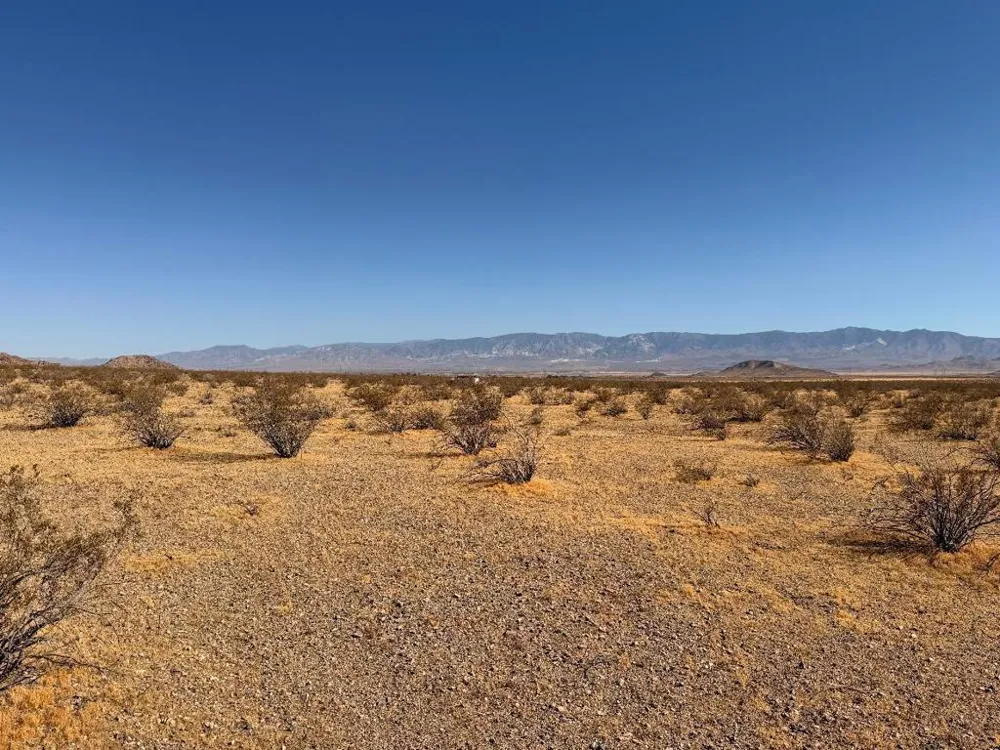 31 Brucite Street Lucerne Valley, CA 92356