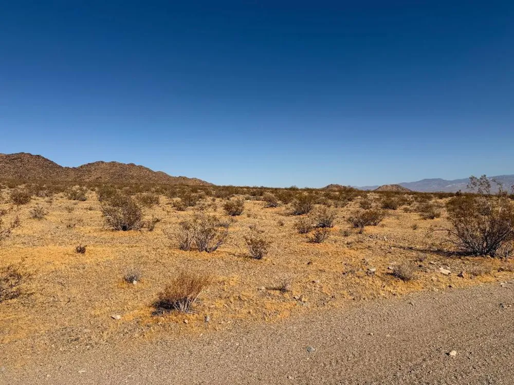31 Brucite Street Lucerne Valley, CA 92356