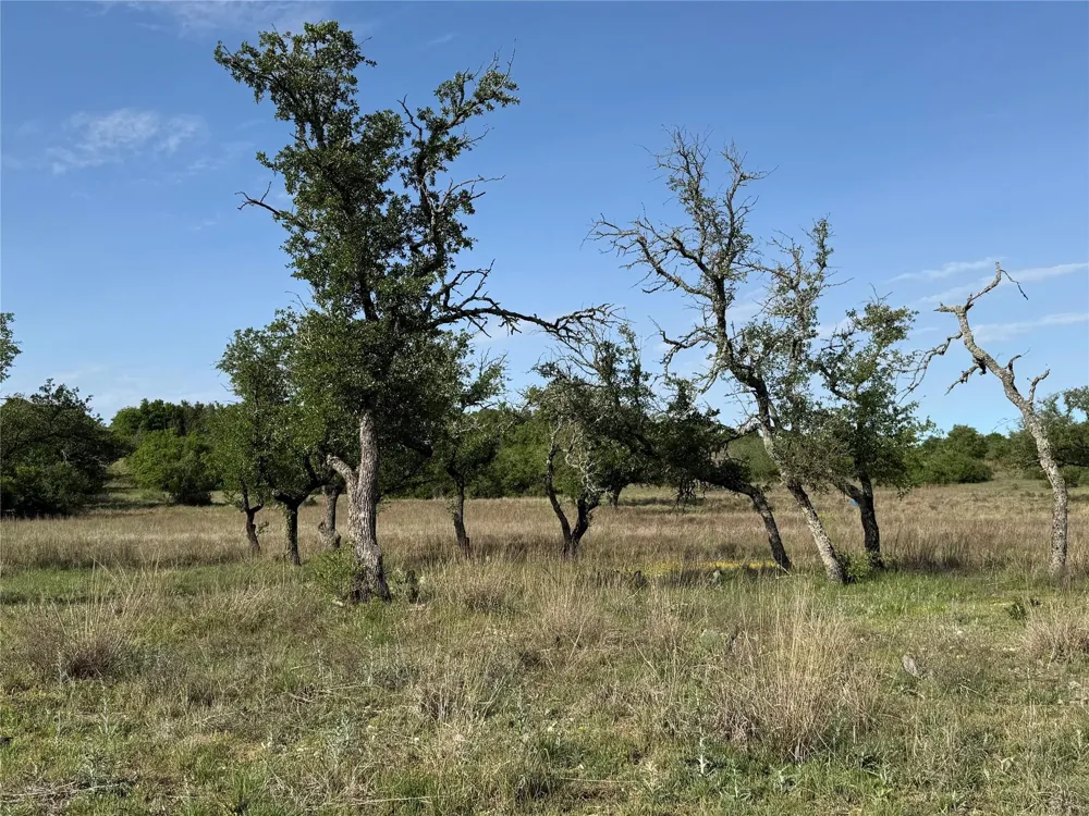 Indian Spring Hamilton, TX 76531