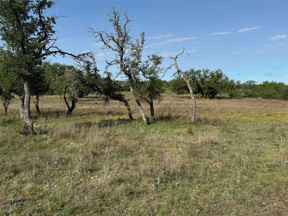 Indian Spring Hamilton, TX 76531