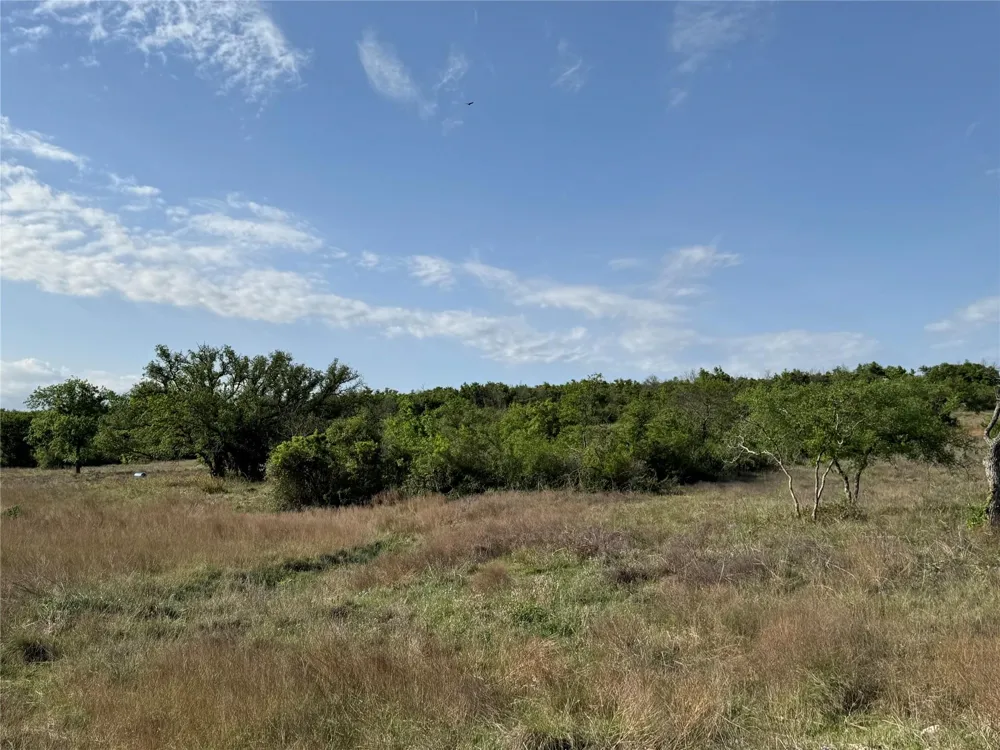 Indian Spring Hamilton, TX 76531
