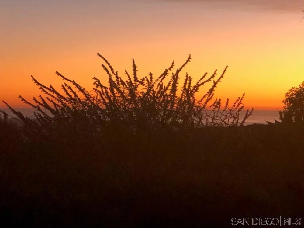 17816 PUNTA DEL SUR Rancho Santa Fe, CA 92067