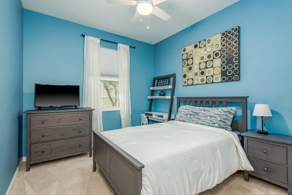 1810 WINSLOE DRIVE Trinity, FL 34655