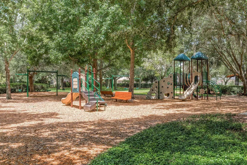 1810 WINSLOE DRIVE Trinity, FL 34655