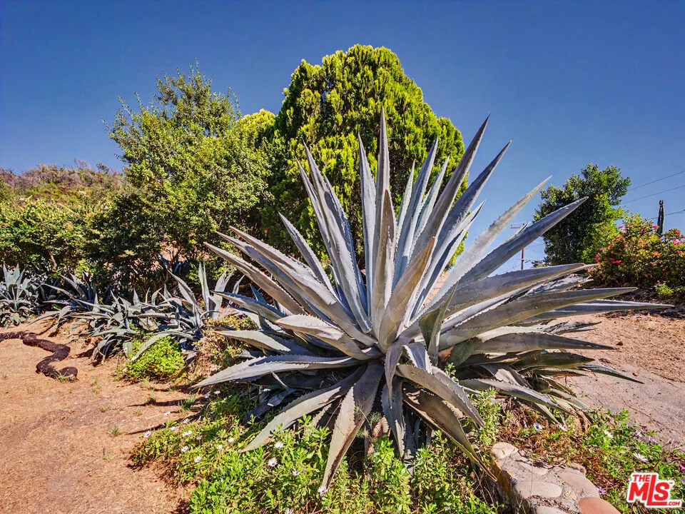 2188 Tuna Canyon Road Topanga, CA 90290