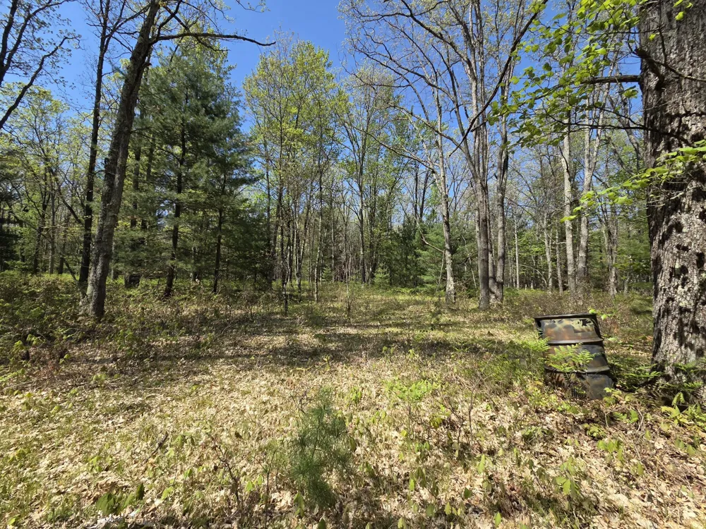 10622 W 7 Mile Road Irons, MI 49644