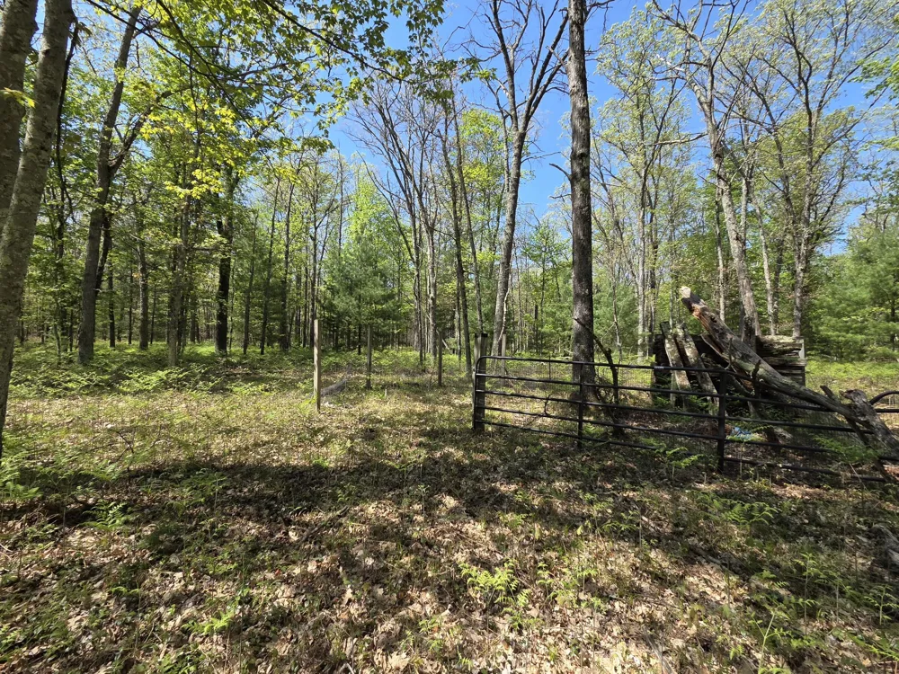 10622 W 7 Mile Road Irons, MI 49644