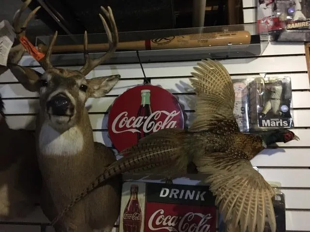 10622 W 7 Mile Road Irons, MI 49644